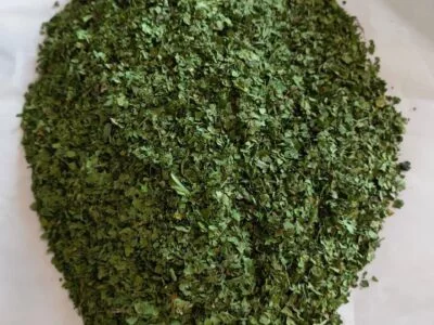 186857240_1996469013838733_7232733366718639166_n