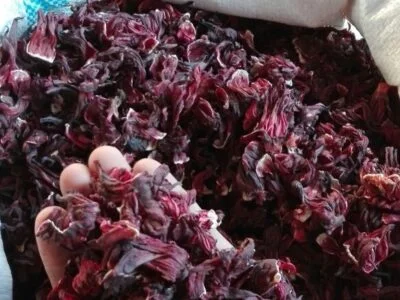 186950390_1996468817172086_867518645876026104_n