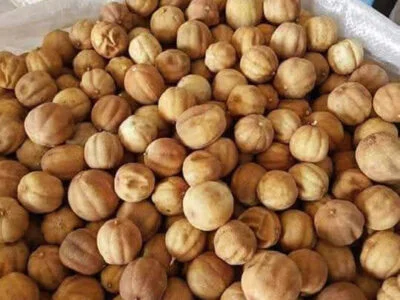 186972979_1996468333838801_8838475964254334413_n