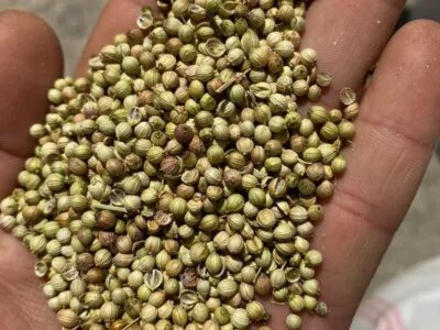 188562810_1996467683838866_2628292232115675251_n